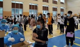 欣洋最新爆料消息,揭秘娱乐圈最新热点事件内幕